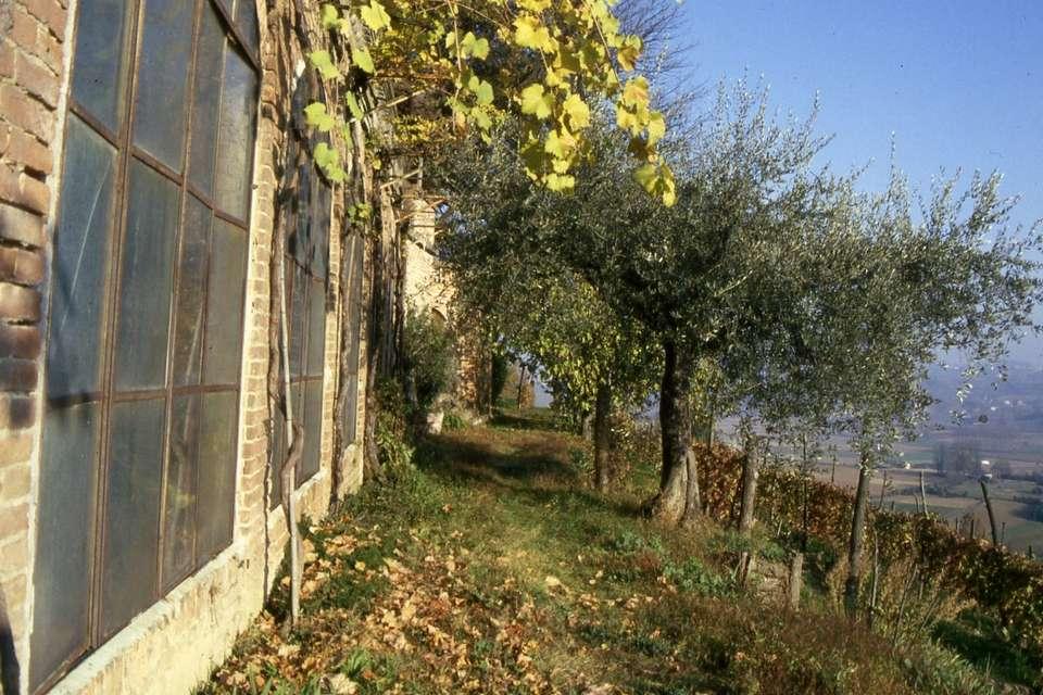 Giardino dei Conti Nuvoli