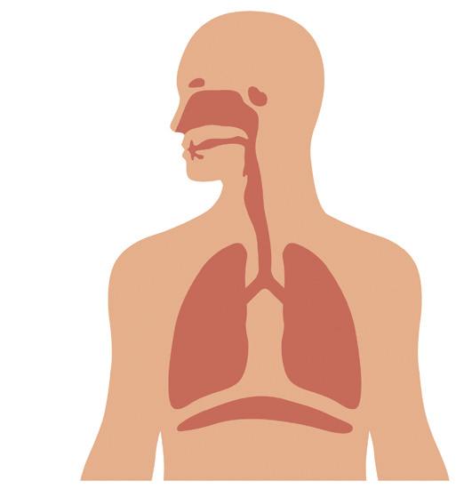 DISCUSSIONE Le evidenze della letteratura scientifica mostrano come l acido ialuronico sia una molecola efficace, da utilizzare in pediatria per via topica in prevenzione e trattamento delle