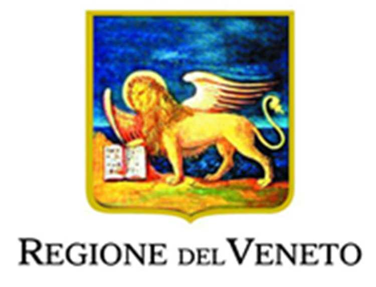 Venezia e alle Province di Belluno, Padova, Rovigo, Treviso, Verona, Vicenza la somma risultante dal riparto del finanziamento nazionale di euro 13.527.