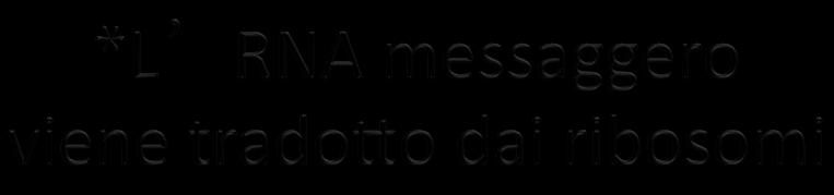 Ribosomi costituiti da complessi di ribonucleoproteine (RNA + Proteine) e deputati alla sintesi proteica da RNA messaggero 2 tipi di ribosomi nel citosol: RIBOSOMI LEGATI ALLA MEMBRANA ESTERNA DEL RE