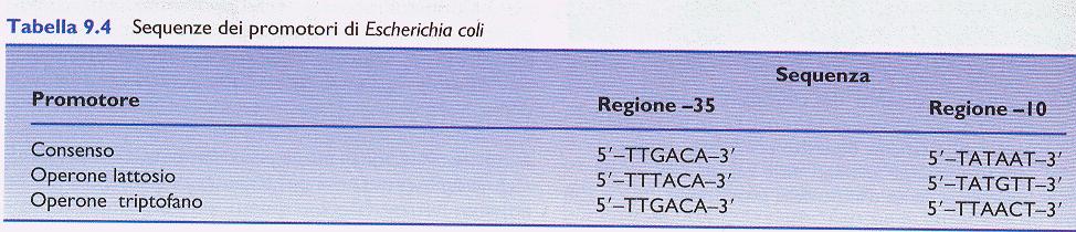 TABELLA 9.