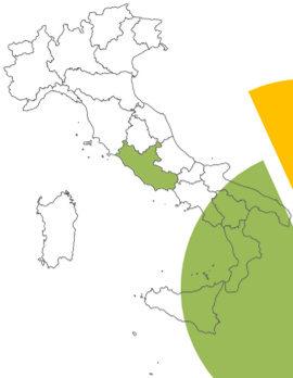 polpa (%) al 31 dicembre 2012 Emilia-gna