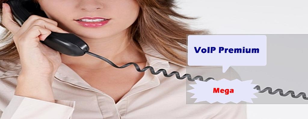 VoIP Premium - Mega,9 2,5,85 2 2,5,85,85 & OUT 3 5,9,85 & OUT 1 13,9 4, & OUT 3 Portato 6,9 & OUT 1 Portato 1 Listino