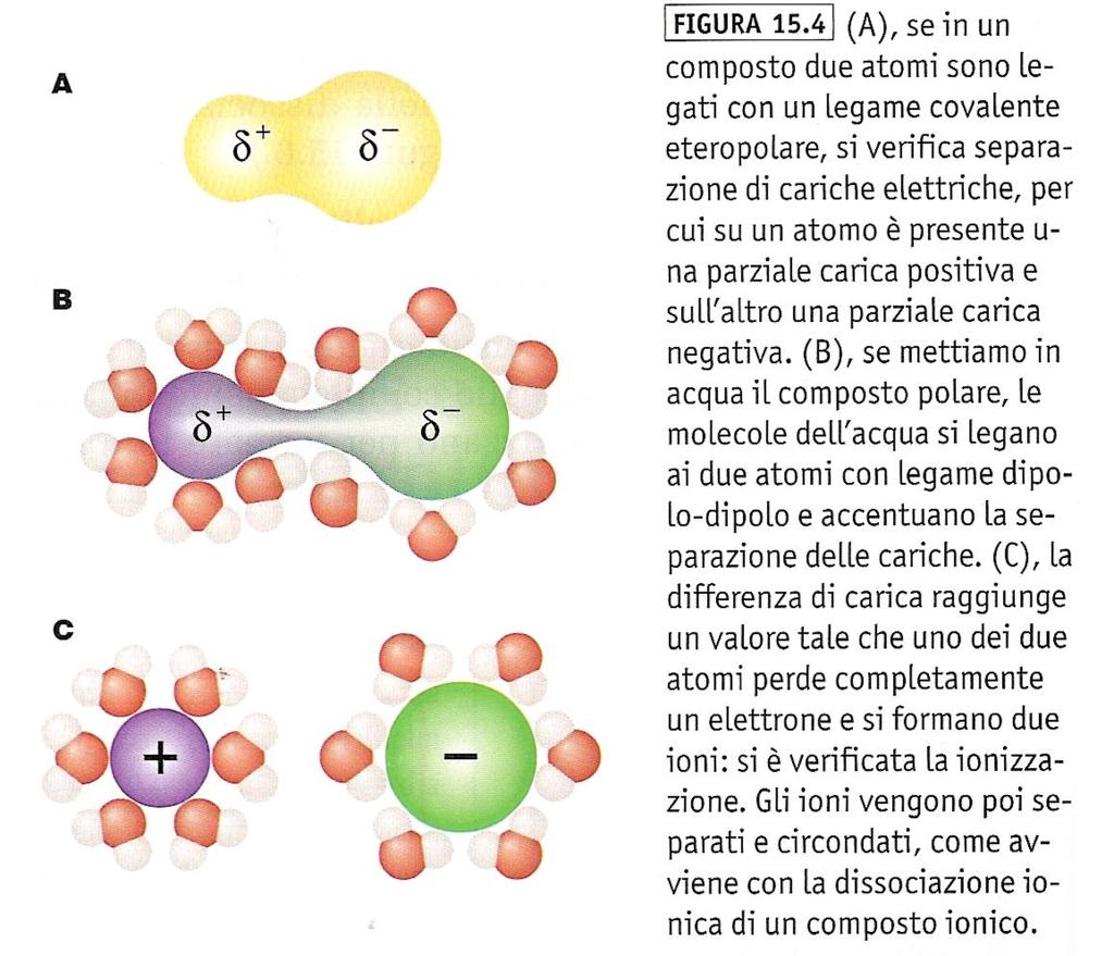 L acqua è in grado di provocare la ionizzazione di molecole polari cioè la loro scomposizione in ioni. gli ioni separati sono poi circondati da molecole di acqua.