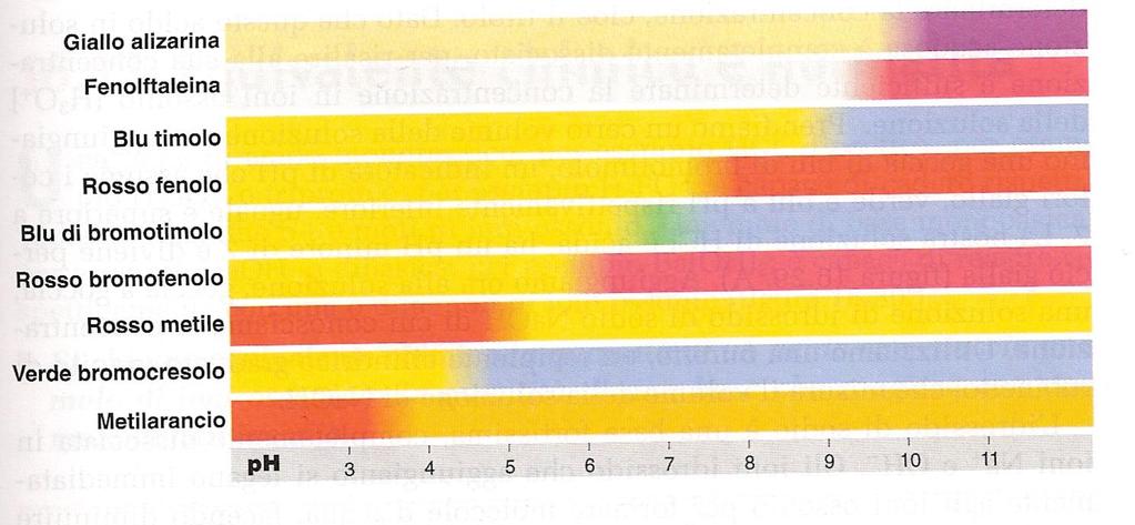 Gli indicatori di ph Gli indicatori di ph sono acidi o basi deboli organici dalla struttura molecolare piuttosto complessa che hanno le due forme coniugate colorate diversamente.