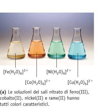 Composti di coordinazione (ione metallico