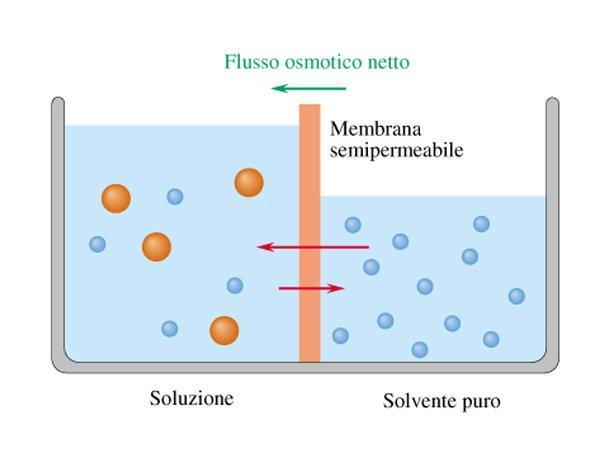 OSMOSI L OSMOSI è il processo attraverso il quale molecole di solvente liquido passano attraverso una membrana con fori di dimensioni tali da impedire il passaggio del soluto Il solvente puro (a dx)