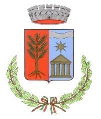 COMUNE DI BIDONI Provincia di Oristano Servizio Tecnico Prot. N. 2158 del 21.11.