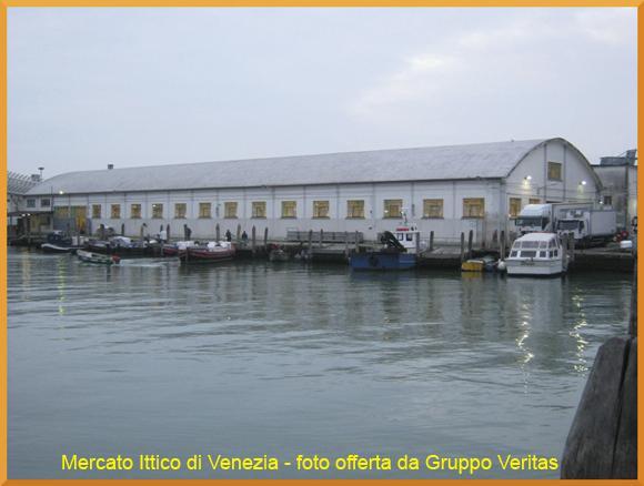 IMPRESE ATTIVE NEL SETTORE ITTICO A VENEZIA - ANNO 2016 Tipologia delle imprese Imprese attive Var. 2016/2015 Var.