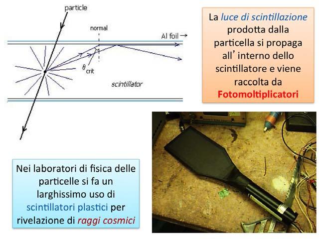 Rachele Di Salvo (Universitá di Roma Tor Istituzioni Vergata)