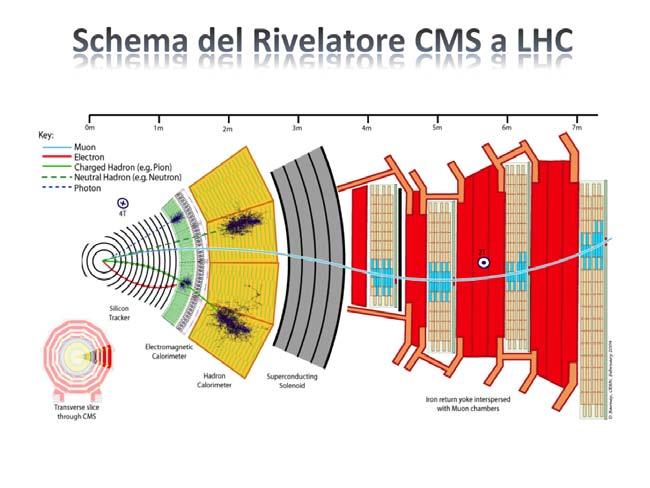 Rachele Di Salvo (Universitá di Roma Tor Istituzioni Vergata)