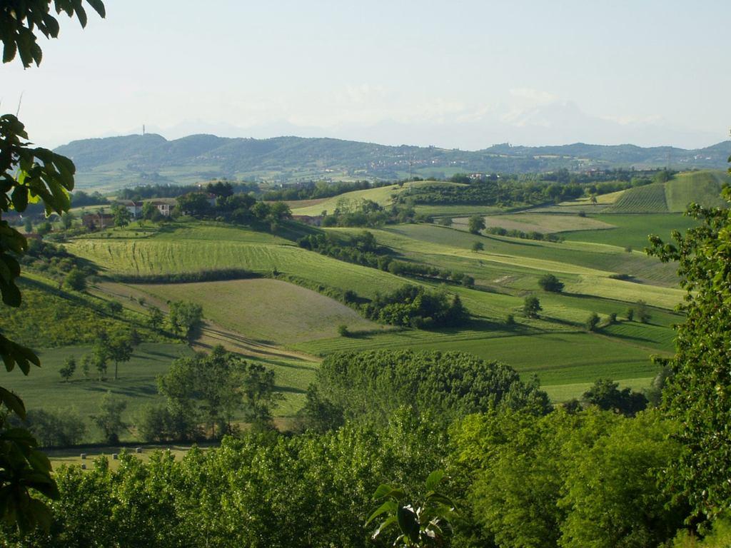 LA RETE DEGLI OSSERVATORI DEL PAESAGGIO IN PIEMONTE Marco Devecchi Coordinatore della Rete piemontese degli Osservatori del