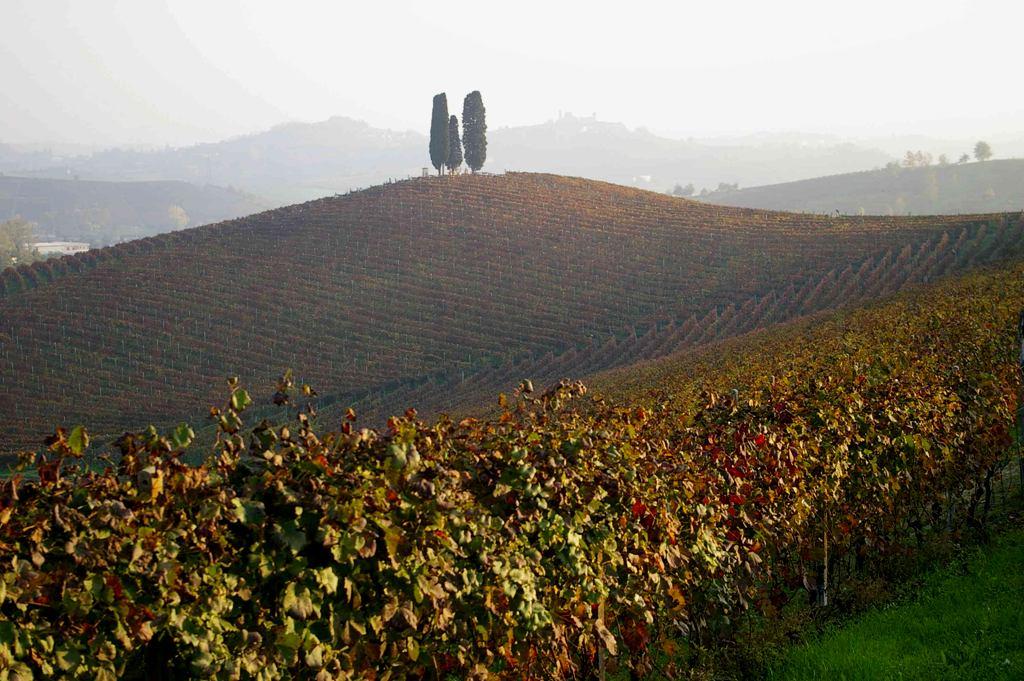 Grazie per l attenzione CONVENZIONE EUROPEA DEL PAESAGGIO Firenze, 20 ottobre 2000 il paesaggio costituisce