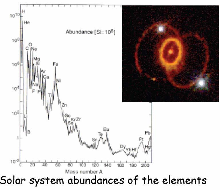 L Abbondanza dei Nuclidi I nuclei piu leggeri fino al 56Fe ( il nucleo piu stabile ), furono prodotti per fusione