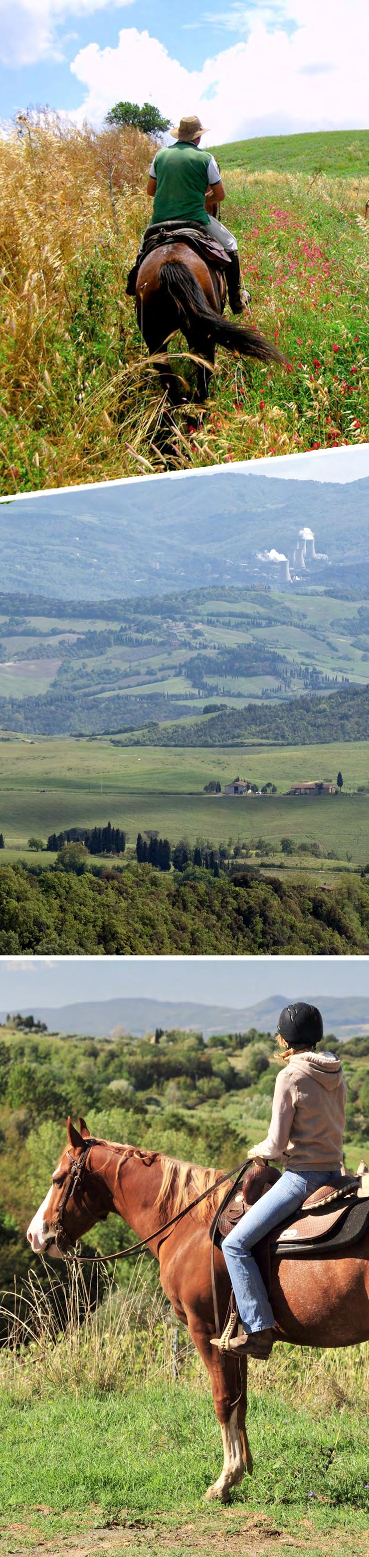 Un giorno a cavallo nel Parco Nazionale delle Colline Metallifere Un occasione fantastica per vivere il cavallo a contatto con la natura e conoscere il territorio.