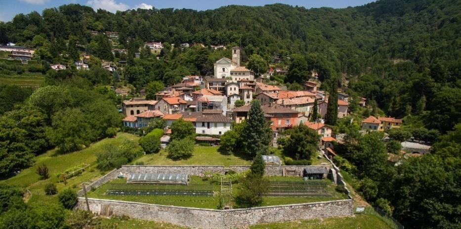 La miscela viene poi distillata seguendo metodi tradizionali dalle mani esperte di Pierluigi Jelmini, presso la distilleria Jelmini di Mendrisio.