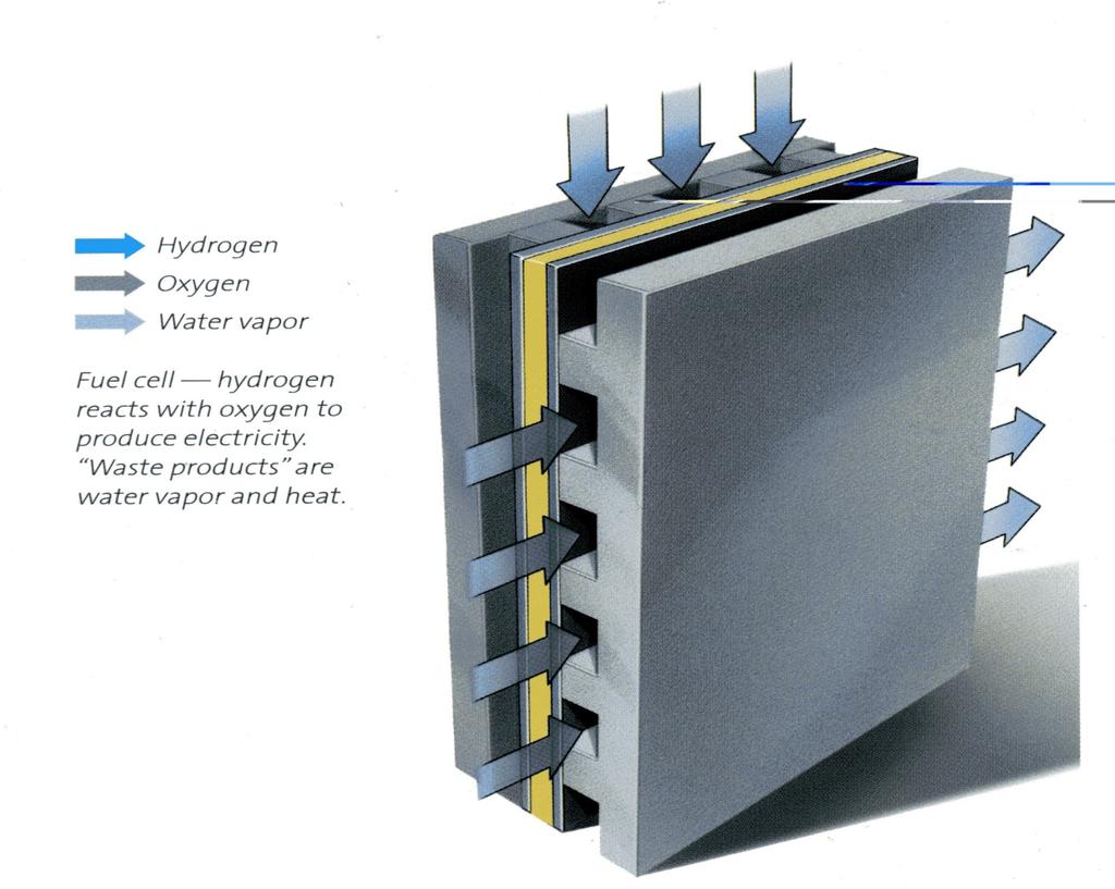 Fuel cell