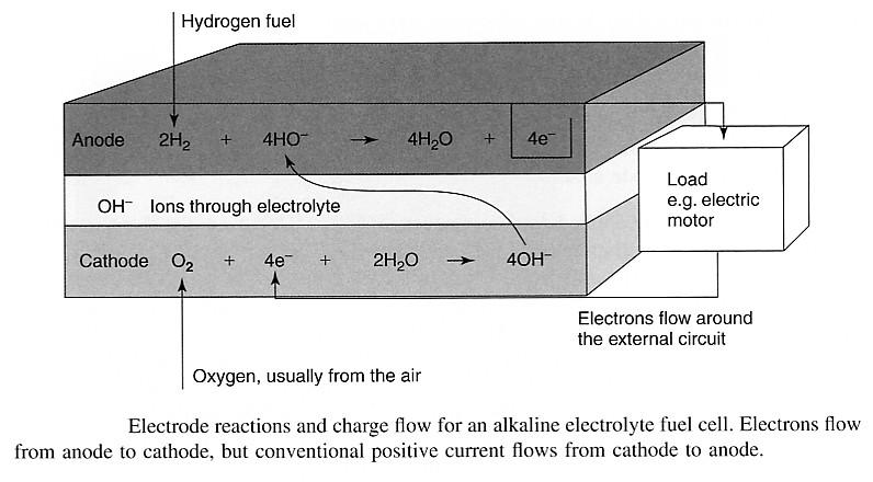 Fuel cell Cella a