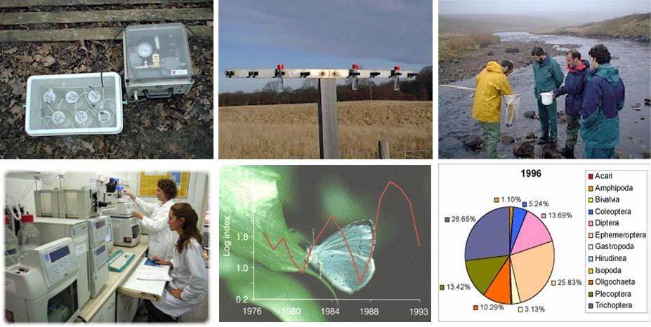 Il lavoro dopo la laurea Ai laureati in Scienze e Tecnologie per l'ambiente sono affidati: i rilevamenti negli ecosistemi il monitoraggio e controllo delle risorse naturali la definizione