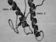 the prion hypothesis proteina normale