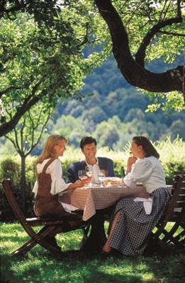 SERVIZI INCLUSI DEL VIAGGIO INDIVIDUALE Pernottamento in hotel ed alberghi a 3***stelle, in parte in hotel a 4****stelle Ricca colazione, spesso a buffet Se è stata prenotata la mezza pensione: cena