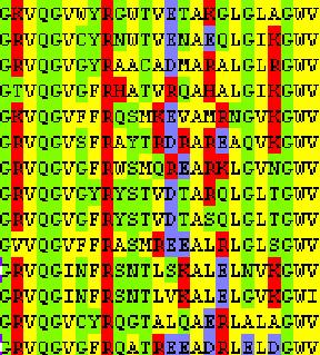 Le sequenze consenso Si definisce sequenza consenso una sequenza derivata da un multiallineamento che presenta solo i residui più conservati per ogni posizione riassume un multiallineamento.