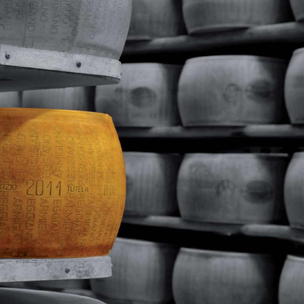 IL PARMIGIANO REGGIANO DOP Il Parmigiano Reggiano DOP racchiude in sé un viaggio unico e straordinario lungo nove secoli, che si compie ancora oggi negli stessi luoghi e con la stessa tecnica.