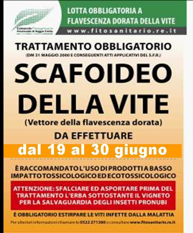 distribuita deve essere registrata perché concorre al raggiungimento del limite previsto dalle norme fitosanitarie (tali quantitativi devono essere indicati nelle schede di registrazione della