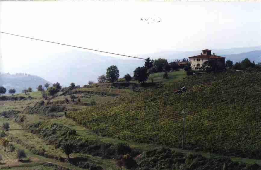 Ville con torre colombaria utilizzate a fini agricoli o