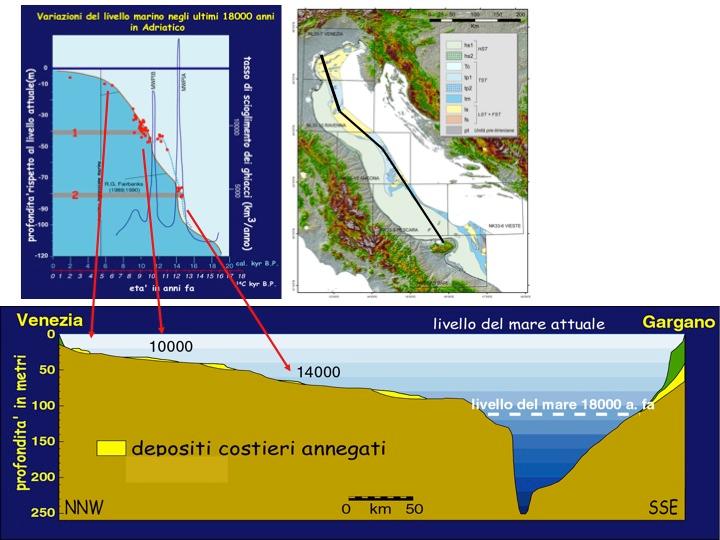 Gli elementi rappresentati sulle carte geologiche superficiali dei fogli adriatici riportano l estensione areale e le facies caratteristiche dei depositi che affiorano o subaffiorano sulla