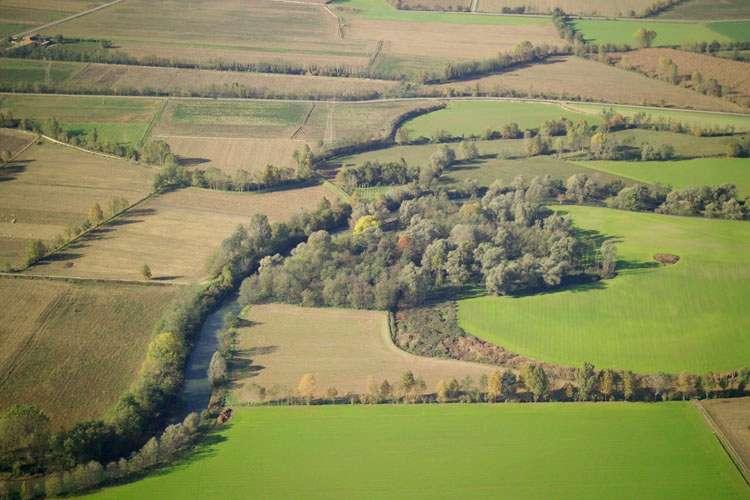 Foreste <1,5 ha: raccordo con