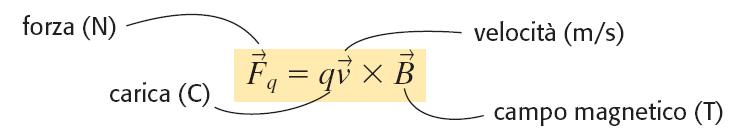 La forza magnetica che agisce su una carica in moto La Forza di Lorentz agisce su una carica q in moto con velocità v
