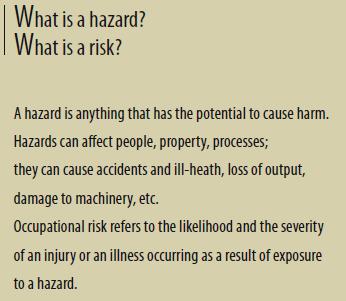 Cosa è un pericolo? Cosa è un rischio? Un pericolo è qualcosa che può potenzialmente causare un danno.