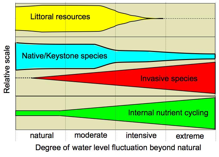 Diagramma dei cambiamenti che possono avvenire in un lago