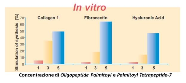 MATRICHINE Agiscono sulla mec Le matrichine sono ottenute mediante scissione proteolitica dei costituenti della matrice extracellulare.