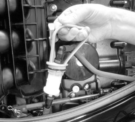 MANUTENZIONE 6. Rimuovere il filtro del combustibile dll'impugntur per il sollevmento.
