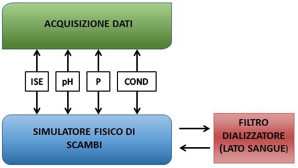 2.5.1 Monitoraggio di nuove specie ioniche La presenza dei sensori sopra elencati consente di monitorare un numero limitato di specie ioniche: nelle sedute dialitiche, è importante monitorare anche