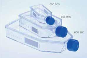 PLASTICA PER COLTURE CELLULARI FIASCHE PLASTICA PER COLTURE CELLULARI FIASCHE PLASTICA PER COLTURE CELLULARI FIASCHE PLASTICA PER COLTURE CELLULARI FIASCHE PLASTICA PER COLTURE CELLULARI FIASCHE