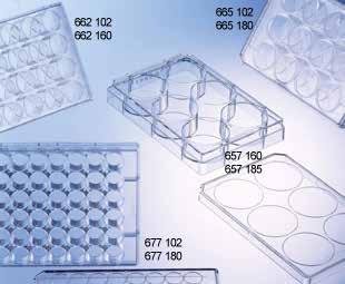 PLASTICA PER COLTURE CELLULARI PIASTRE MULTIPOZZETTO PLASTICA PER COLTURE CELLULARI PIASTRE MULTIPOZZETTO PLASTICA PER COLTURE CELLULARI PIASTRE MULTIPOZZETTO PLASTICA PER COLTURE CELLULARI PIASTRE