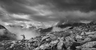 fotoamatori con la passione per lo scatto in alta quota.