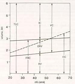 Cause di variabilità dei volumi polmonari -effetti legati all età- Capacità polmonare totale: pressochè costante.