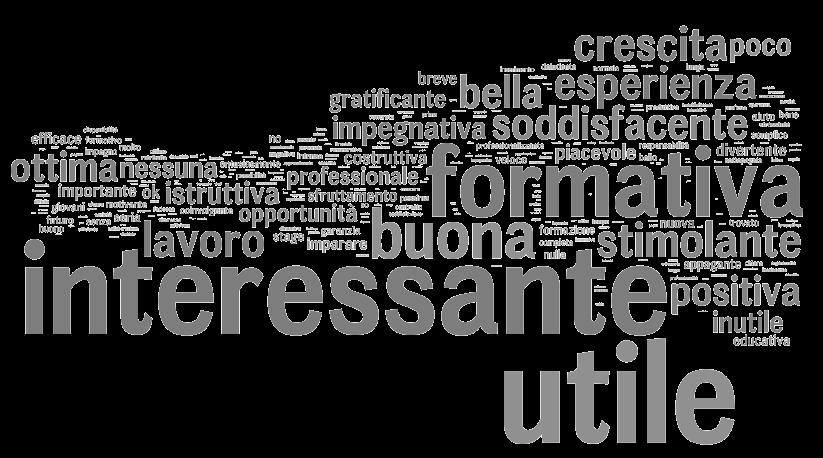 Giovani Iscritti Immagine esperienza lavorativa TESTO DELLA DOMANDA In base alla tua esperienza complessiva con Garanzia Giovani, puoi descrivere con 5 PAROLE l esperienza lavorativa tramite Garanzia