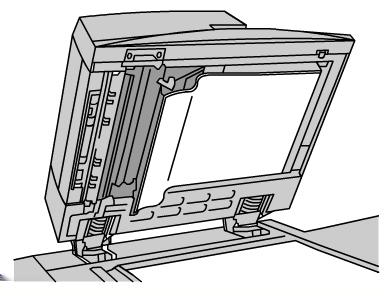 Manutenzione b) Con l'alimentatore automatico aperto, tirare la leva presente nella parte superiore della copertura.