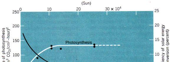 Concetti di Base in Ecologia Tuttavia la luce solare non