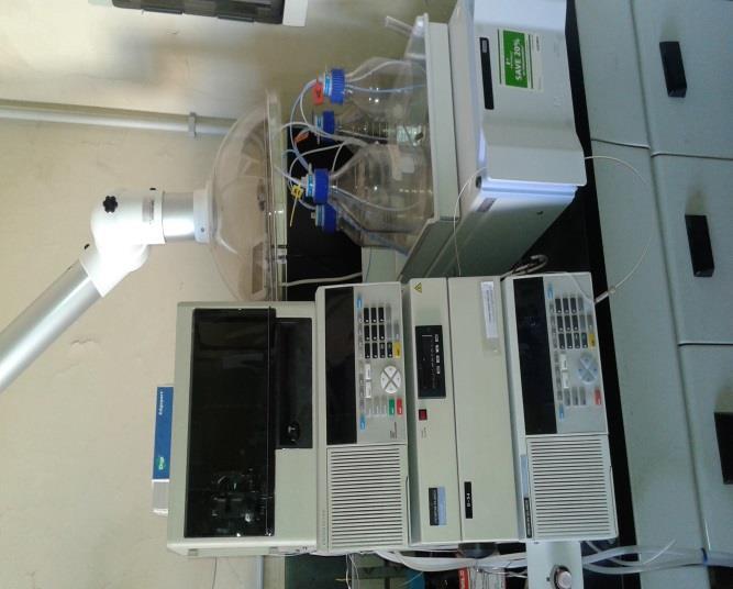 Determinazione Glifosate HPLC/DAD Colonna: Dionex Ion Pac AS11 250 mm X 2 mm Fase mobile: CH3OH/KH2PO4