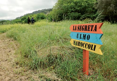 Perché un azienda dovrebbe aderire a un progetto di sostenibilità?