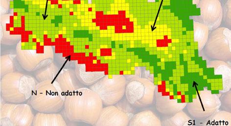 luglio, agosto, settembre FMAM