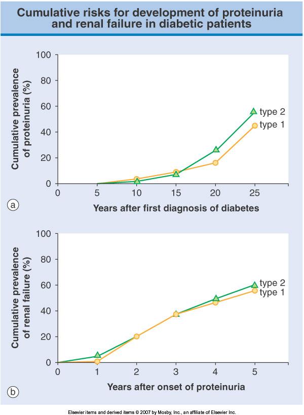 Evoluzione della nefropatia diabetica Il numero di pazienti diabetici che sviluppano proteinuria a!