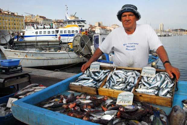 Il progetto Fish Forward Un progetto cofinanziato dall Ue per una maggior sostenibilità economica, sociale ed ecologica del consumo di pesce all insegna dell Anno europeo per lo sviluppo Nel 2015,