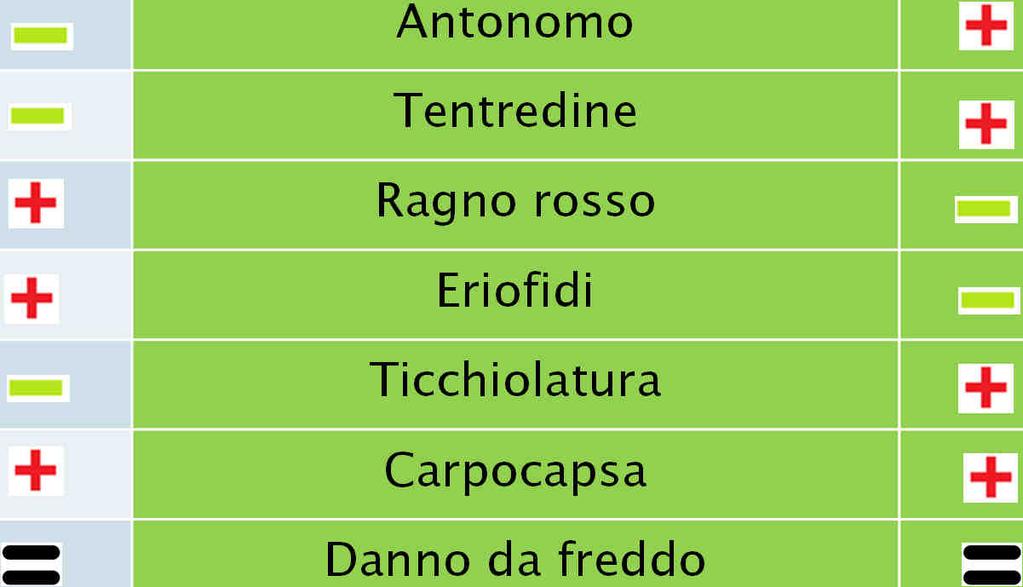 DIFESA INTEGRATA Cimice asiatica Afide lanigero Afide grigio Afide verde Antonomo Tentredine Ragno rosso Eriofidi Ticchiolatura Carpocapsa Danno da freddo